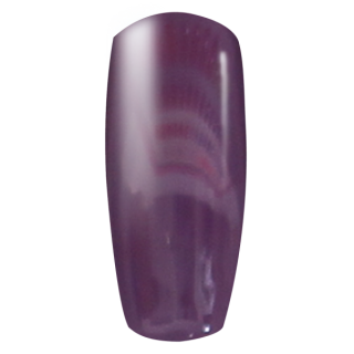 #077- Gelixir UV/LED Soak Off Matching Gel and Polish